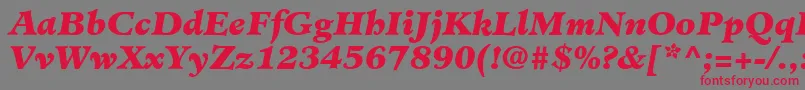 Шрифт MinisterLtBlackItalic – красные шрифты на сером фоне