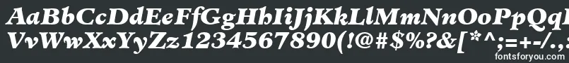 Шрифт MinisterLtBlackItalic – белые шрифты на чёрном фоне