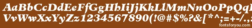 Шрифт MinisterLtBlackItalic – белые шрифты на коричневом фоне