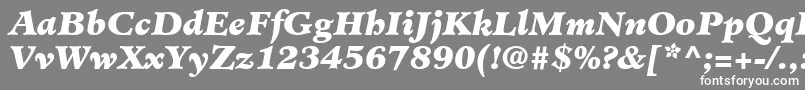 MinisterLtBlackItalic-Schriftart – Weiße Schriften auf grauem Hintergrund