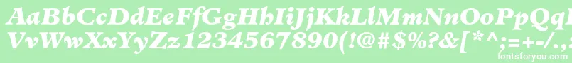 Шрифт MinisterLtBlackItalic – белые шрифты на зелёном фоне