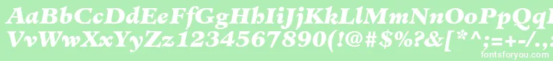 MinisterLtBlackItalic Font – White Fonts on Green Background