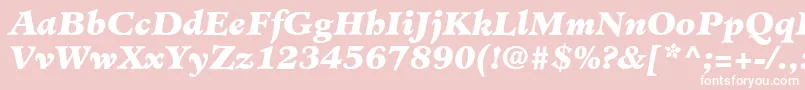 Шрифт MinisterLtBlackItalic – белые шрифты на розовом фоне