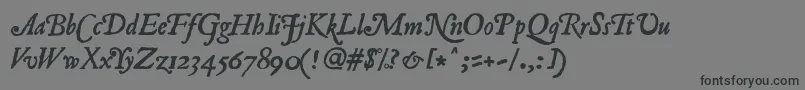 Czcionka RomanAntiqueItalic – czarne czcionki na szarym tle