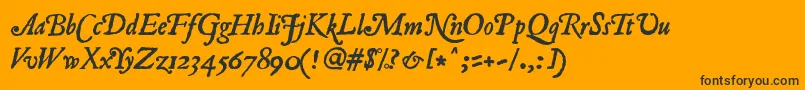 RomanAntiqueItalic Font – Black Fonts on Orange Background