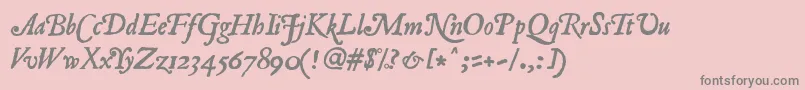 RomanAntiqueItalic Font – Gray Fonts on Pink Background