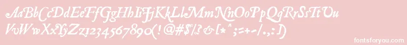 RomanAntiqueItalic Font – White Fonts on Pink Background