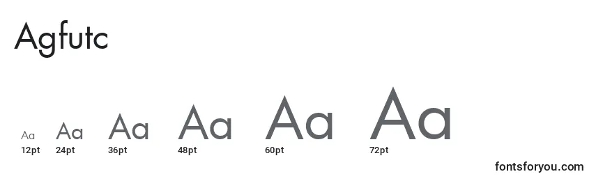 Размеры шрифта Agfutc