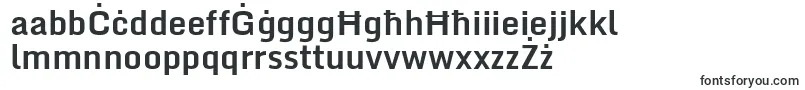 MondaBold Font – Maltese Fonts
