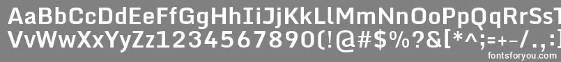 フォントMondaBold – 灰色の背景に白い文字