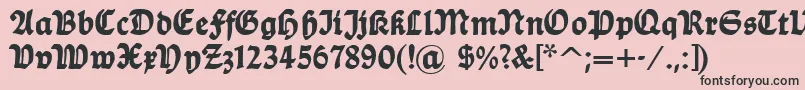 Dsballade Font – Black Fonts on Pink Background