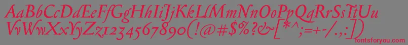 フォントSerapionosfItalic – 赤い文字の灰色の背景