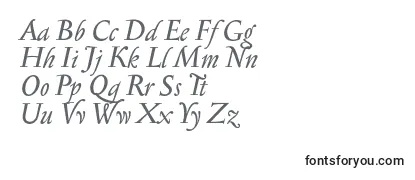 Review of the SerapionosfItalic Font