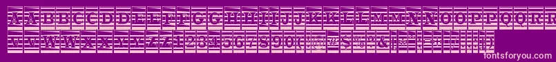 ATrianglercmmr Font – Pink Fonts on Purple Background