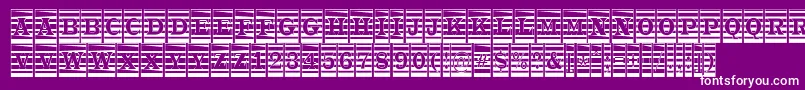 ATrianglercmmr Font – White Fonts on Purple Background