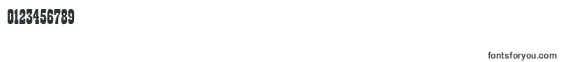 Playbillantd Font – Fonts for Numbers and Digits