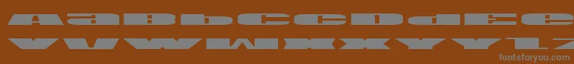 Weitere Informationen zur Usav2e-Schriftart Usav2e-Schriftart – Graue Schriften auf braunem Hintergrund