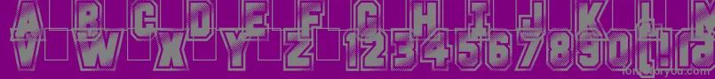 fuente GlitterCampus – Fuentes Grises Sobre Fondo Morado