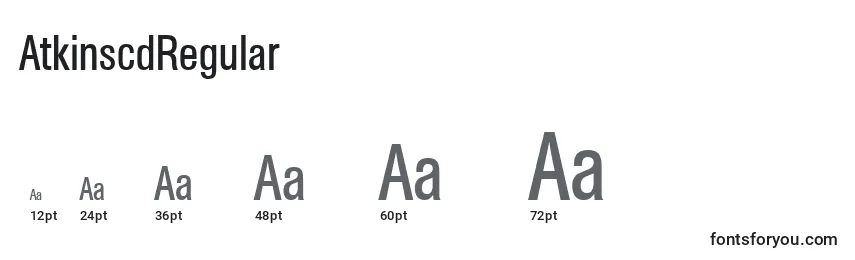 Размеры шрифта AtkinscdRegular