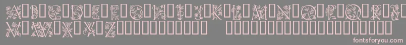 EveInitials Font – Pink Fonts on Gray Background