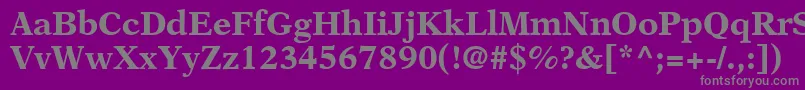 OrchidBlackSsiBold Font – Gray Fonts on Purple Background