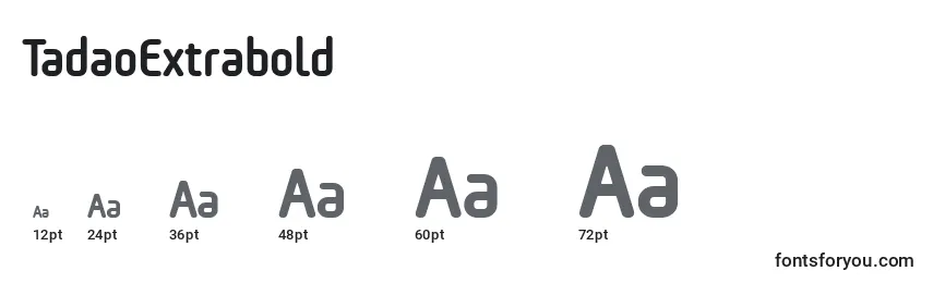 Размеры шрифта TadaoExtrabold