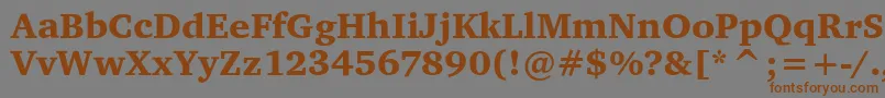 CharterItcBlack Font – Brown Fonts on Gray Background