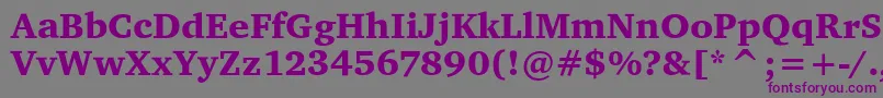 CharterItcBlack Font – Purple Fonts on Gray Background