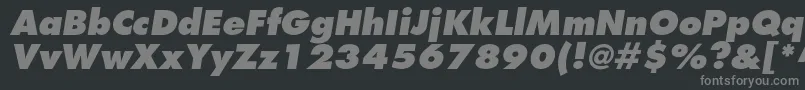 FuturastdExtraboldoblique Font – Gray Fonts on Black Background