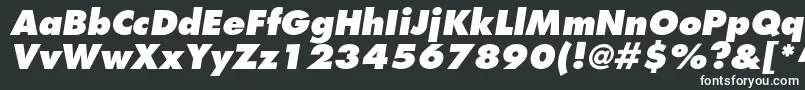 Шрифт FuturastdExtraboldoblique – белые шрифты на чёрном фоне
