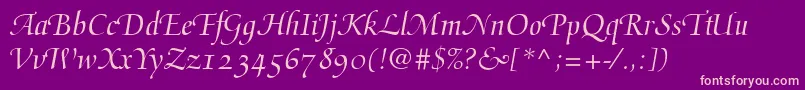 MediciScript Font – Pink Fonts on Purple Background