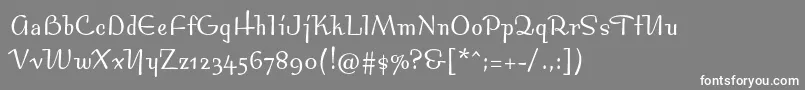 Bossanovamvbstd-Schriftart – Weiße Schriften auf grauem Hintergrund