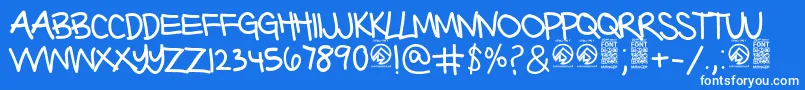 BarterwithagypsyThin Font – White Fonts on Blue Background