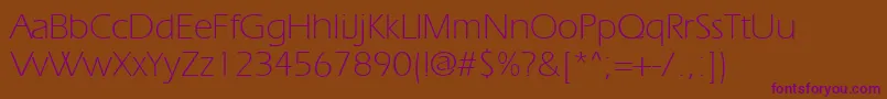 Ergoelight Font – Purple Fonts on Brown Background