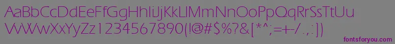 More about Ergoelight Font Ergoelight Font – Purple Fonts on Gray Background