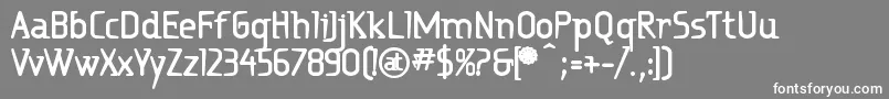 RitalinExtrabold Font – White Fonts on Gray Background