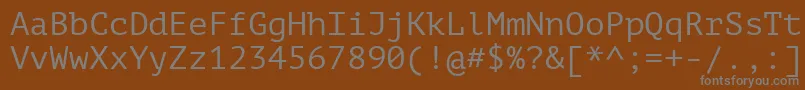 Шрифт PtMono – серые шрифты на коричневом фоне