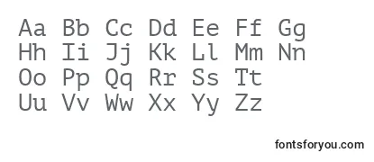 PtMono-fontti
