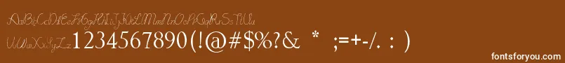 LydekeHandwrithing Font – White Fonts on Brown Background