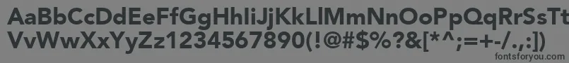 フォントExpoBlackSsiBlack – 黒い文字の灰色の背景