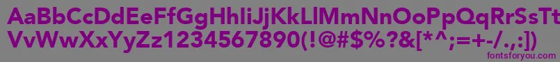 ExpoBlackSsiBlack-Schriftart – Violette Schriften auf grauem Hintergrund