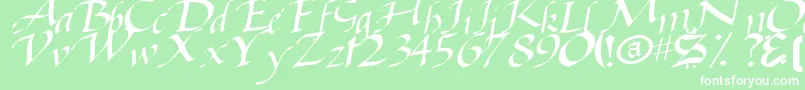 BaggageRegularTtstd Font – White Fonts on Green Background