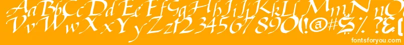 BaggageRegularTtstd Font – White Fonts on Orange Background