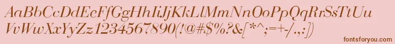 BodoniDisplayItalic Font – Brown Fonts on Pink Background