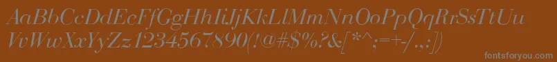 BodoniDisplayItalic Font – Gray Fonts on Brown Background