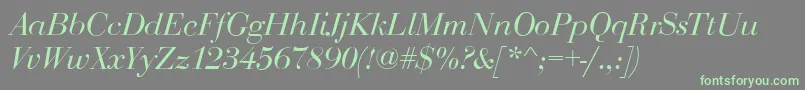 BodoniDisplayItalic Font – Green Fonts on Gray Background