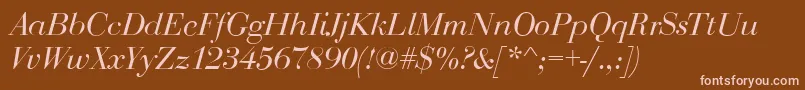 BodoniDisplayItalic Font – Pink Fonts on Brown Background