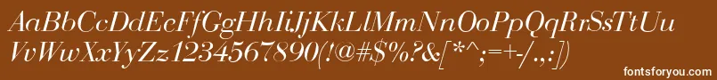 BodoniDisplayItalic Font – White Fonts on Brown Background