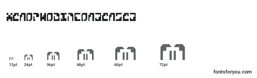 XenophobiaCondensed Font Sizes