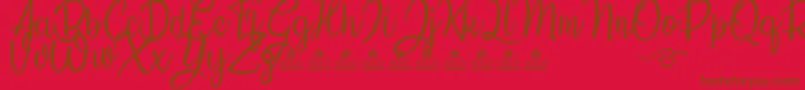 SunflowersPersonalUse Font – Brown Fonts on Red Background